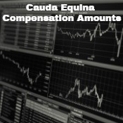 Cauda Equina Compensation Amounts