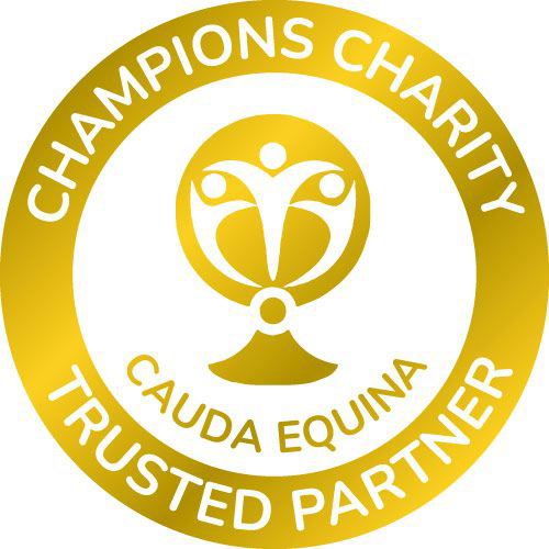 Cauda Equina Syndrome Solicitors